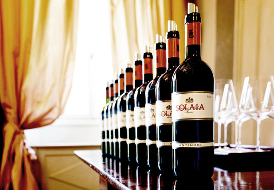 Solaia Wine Tasting