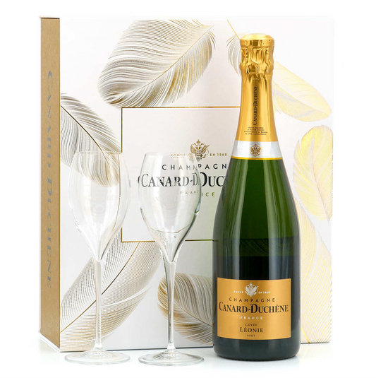 Champagne Wine Glasses Gift Set