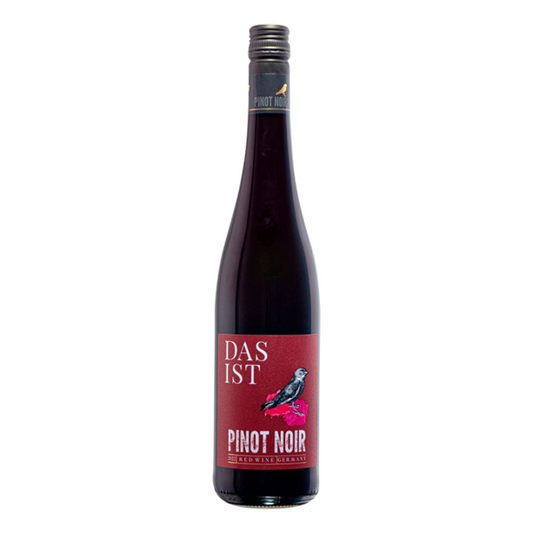 Das ist Pinot Noir Baden  2023